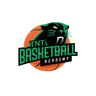 TNT Basketball Academy logo