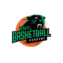 TNT Basketball Academy logo